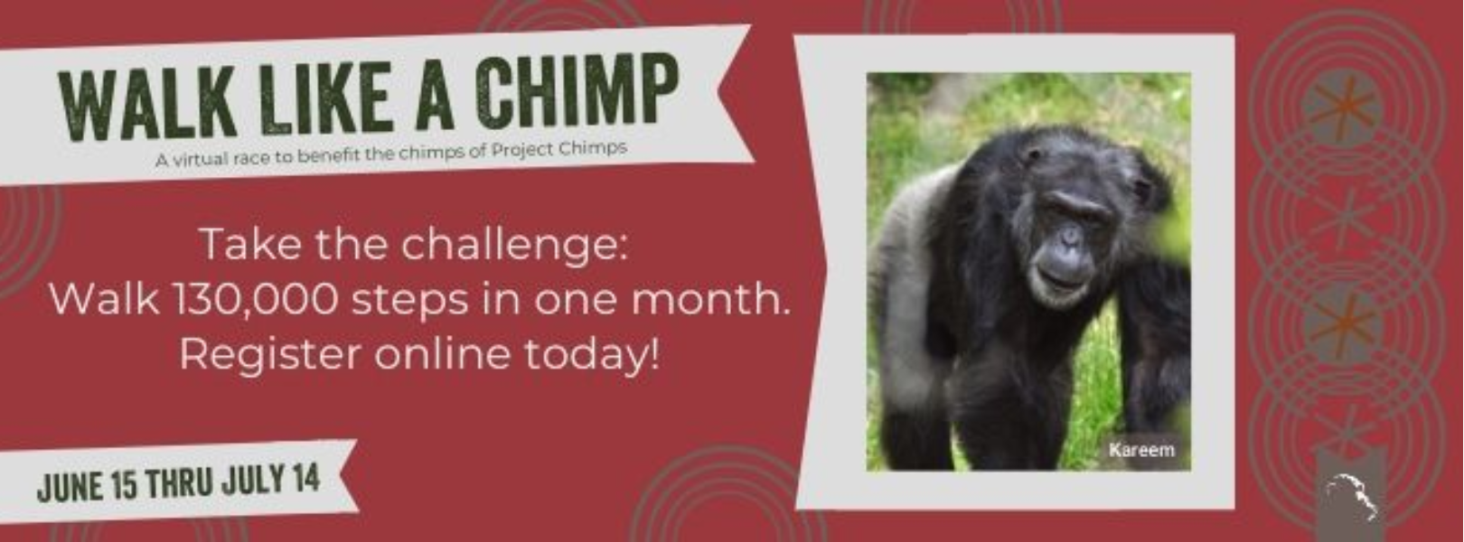 Project Chimps