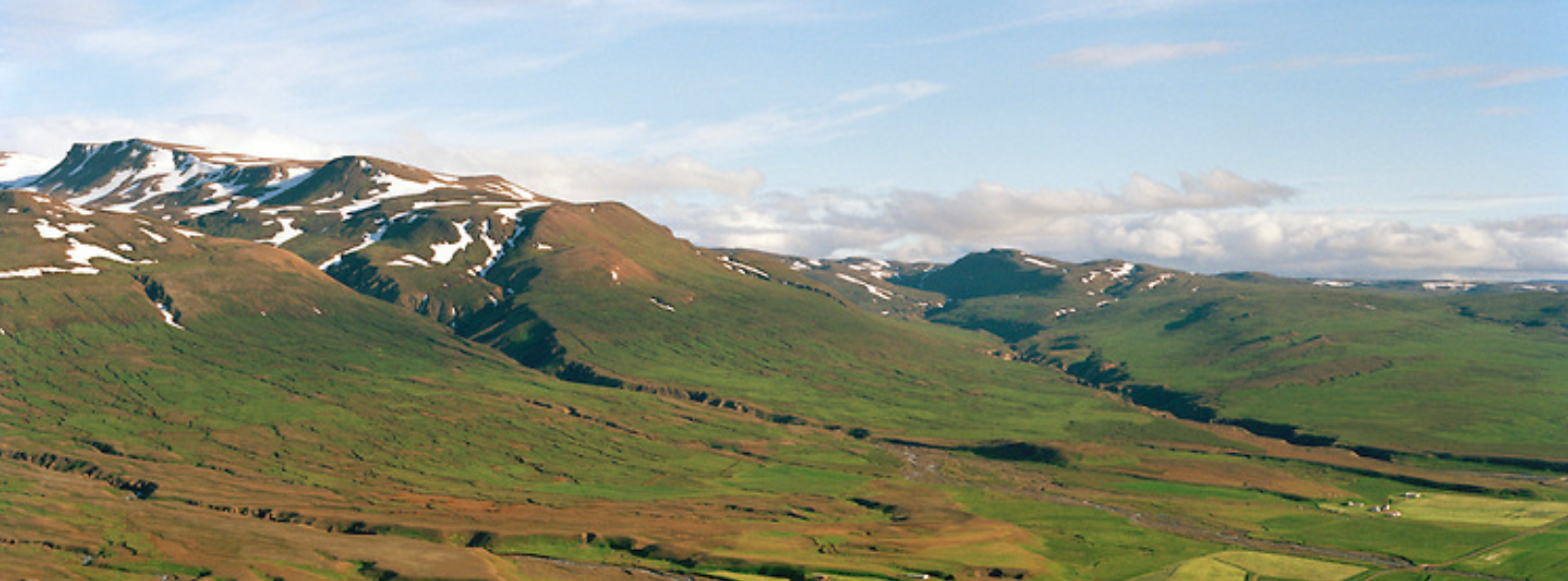 Icelandic Roots