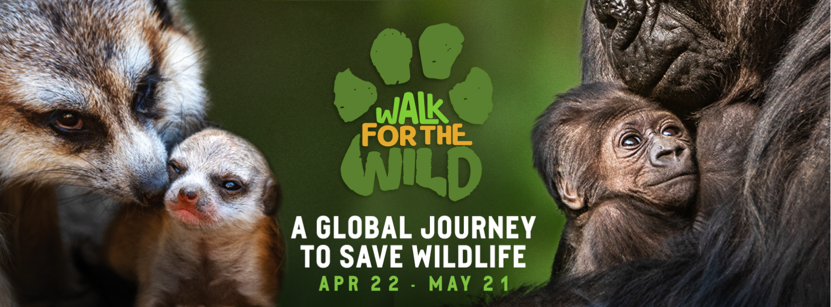 Walk for the Wild