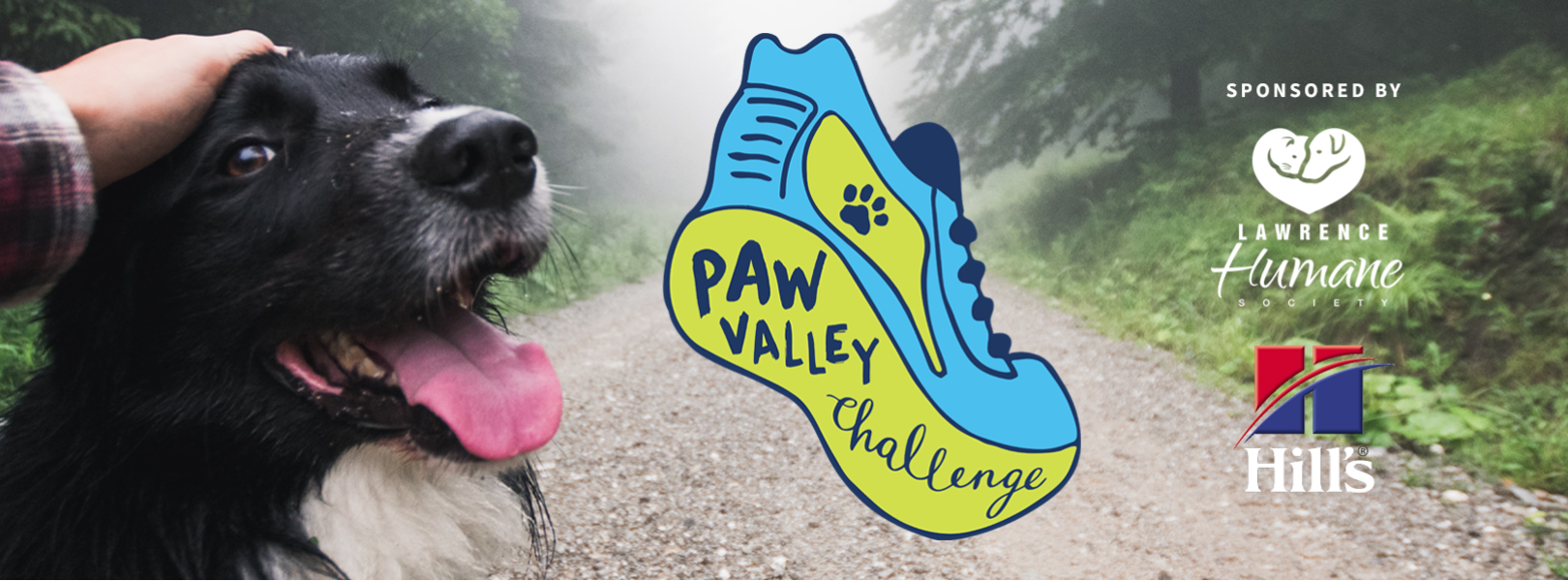 Paw Valley Challenge