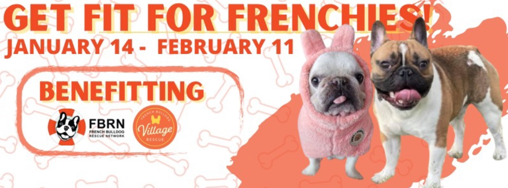 Get Fit For Frenchies