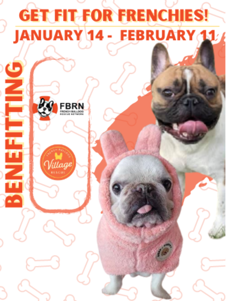 How To Register A French Bulldog