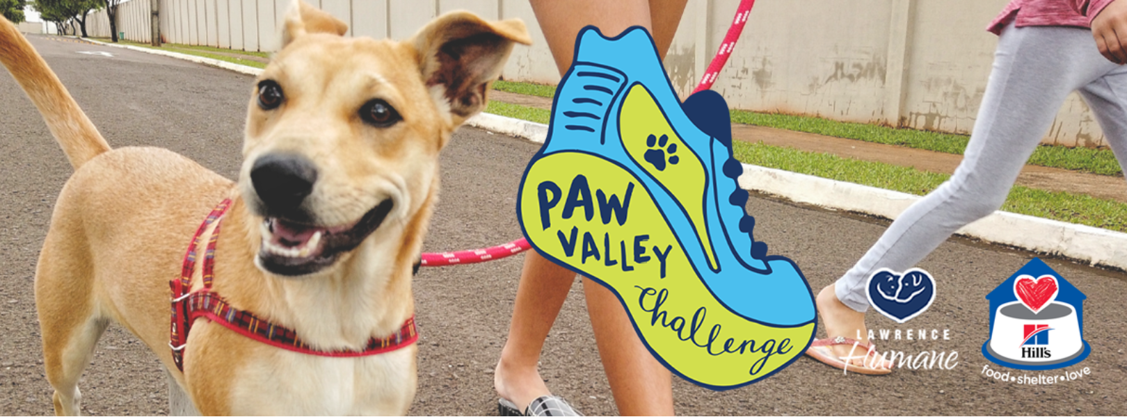Paw Valley Challenge 2022