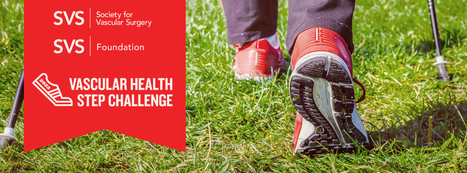 Leaderboard Vascular Health Step Challenge