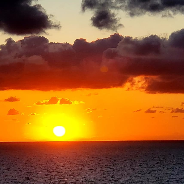 Charleston HGV Cares