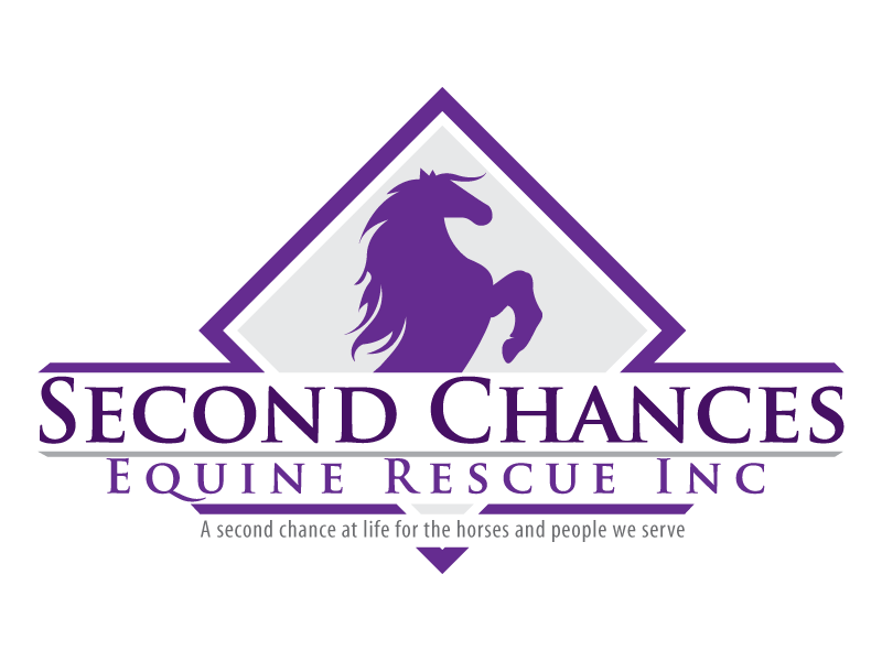 Second Chances Equine Rescue Inc