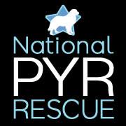 National Great Pyrenees Rescue
