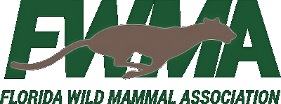 Florida Wild Mammal Association Inc.
