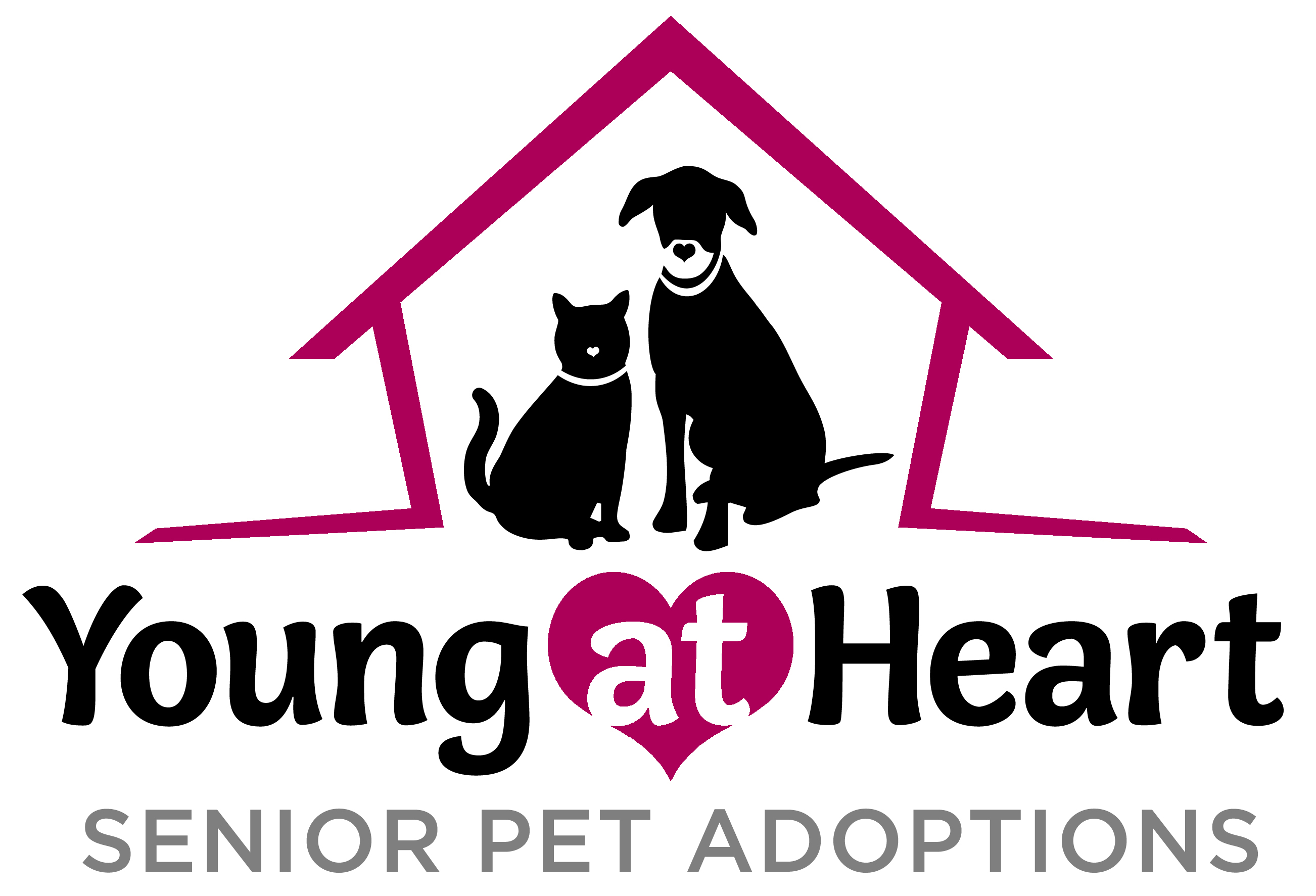 Young at Heart Senior Pet Adoptions