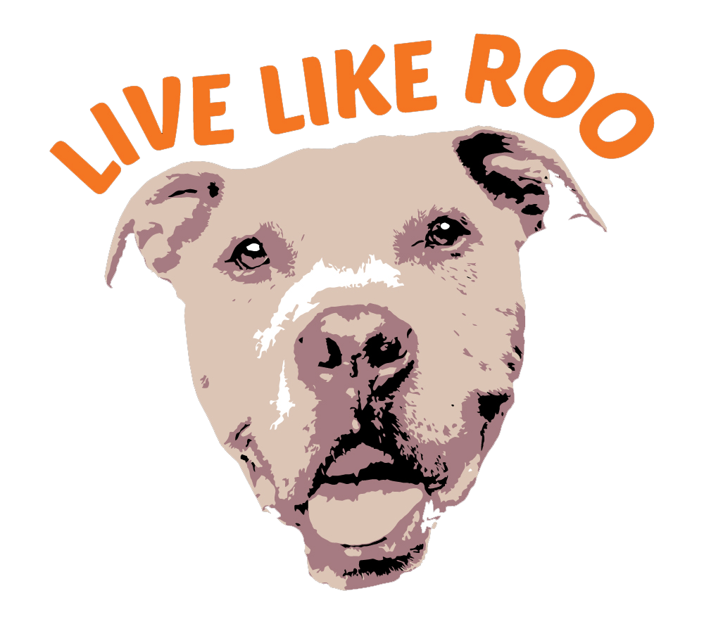 Live Like Roo Foundation