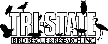 Tri-State Bird Rescue & Research Inc.