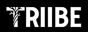 Triibe Futures